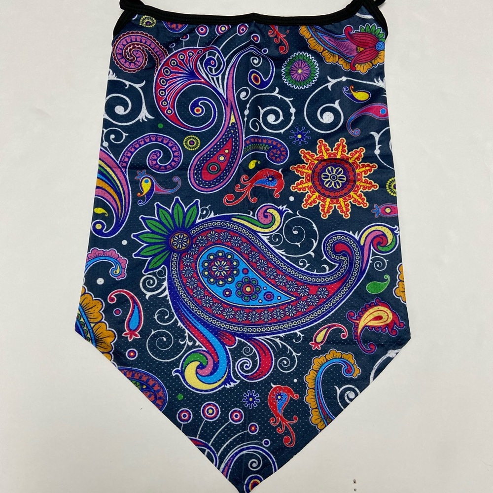 Colorful Paisley Mask
